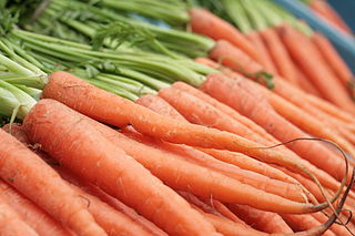 320px-Carrots