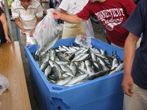 320px-Misaki_morning_market_04