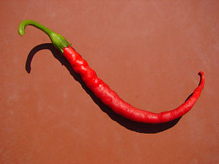 320px-Red_Pepper_03905-nevit