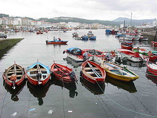 320px-Ribeira_GDFL040825_050