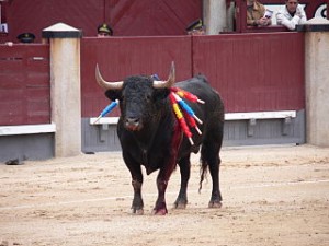 320px-Toroencorrida