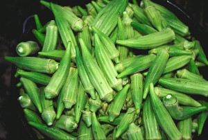 Bucket_of_raw_okra_pods