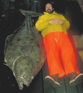 Large_Pacific_halibut